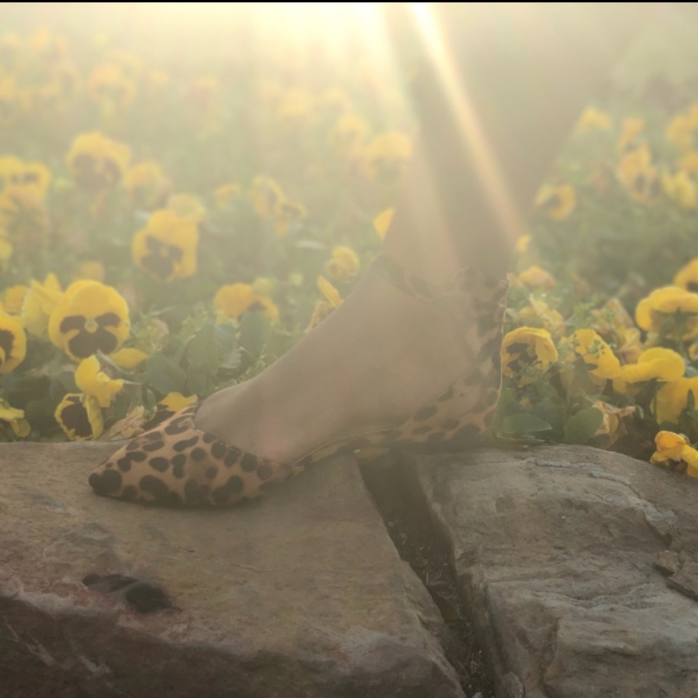 Women's Leopard flats. - Picture 3 of 5